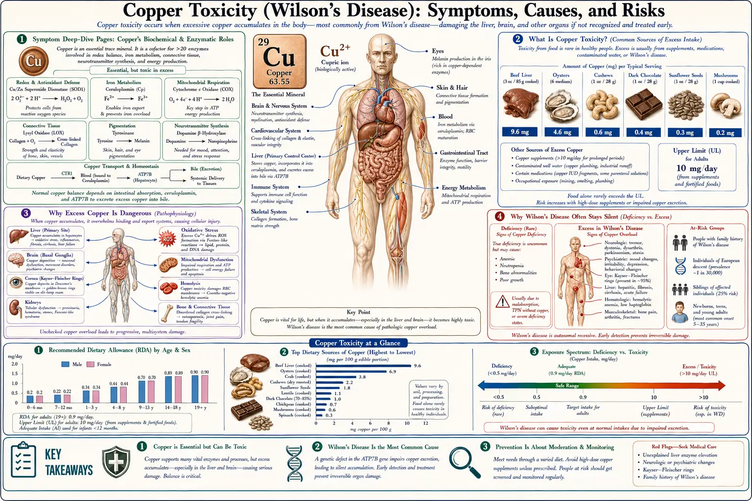 Toxicity — scientific infographic poster