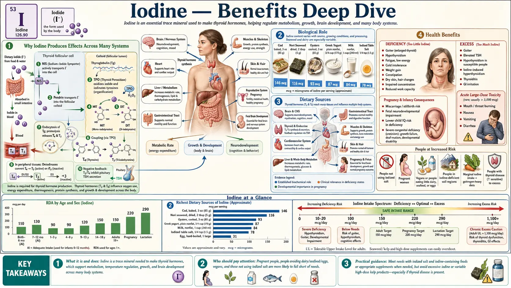 Benefits — scientific infographic poster