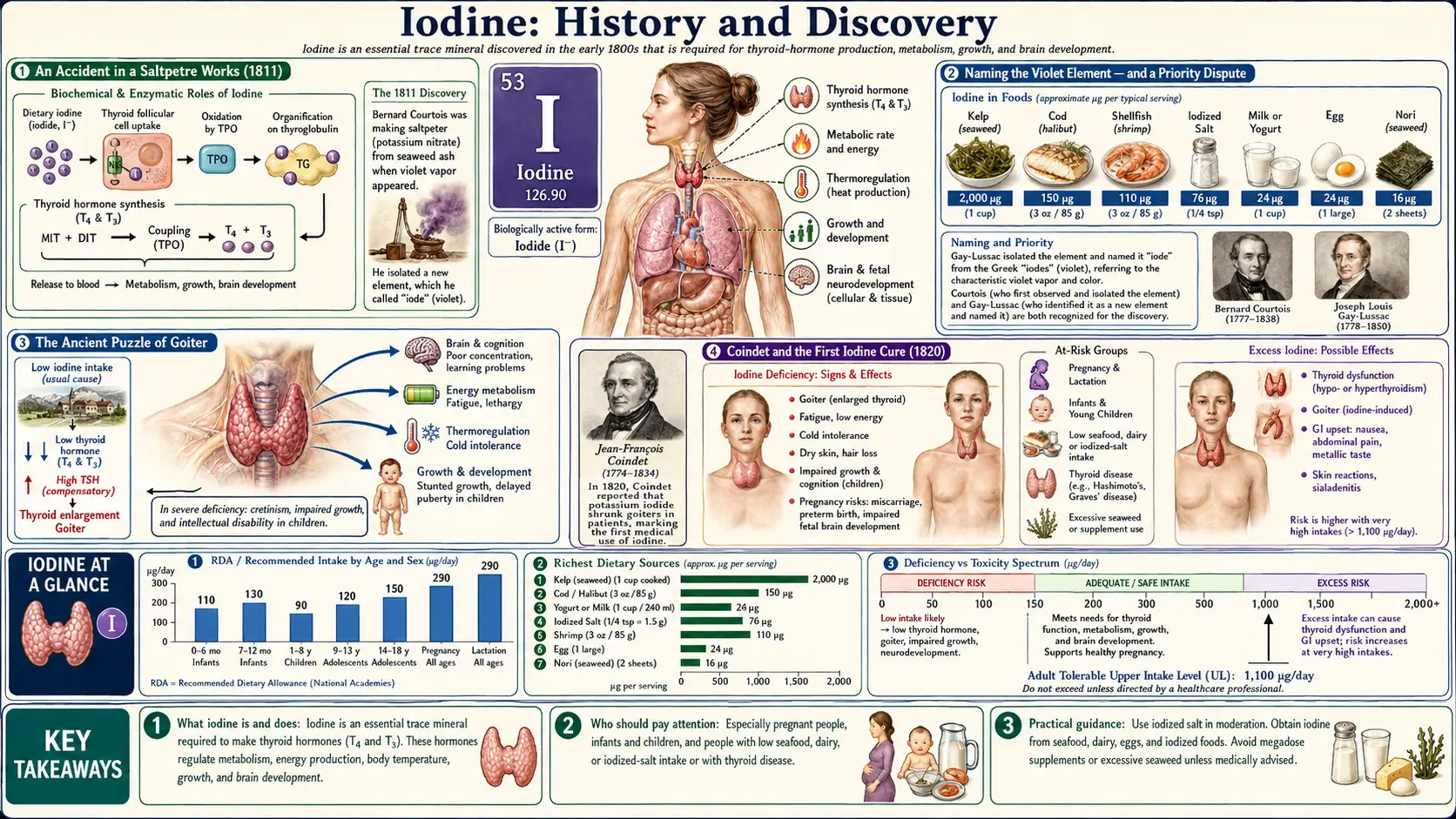 History — scientific infographic poster