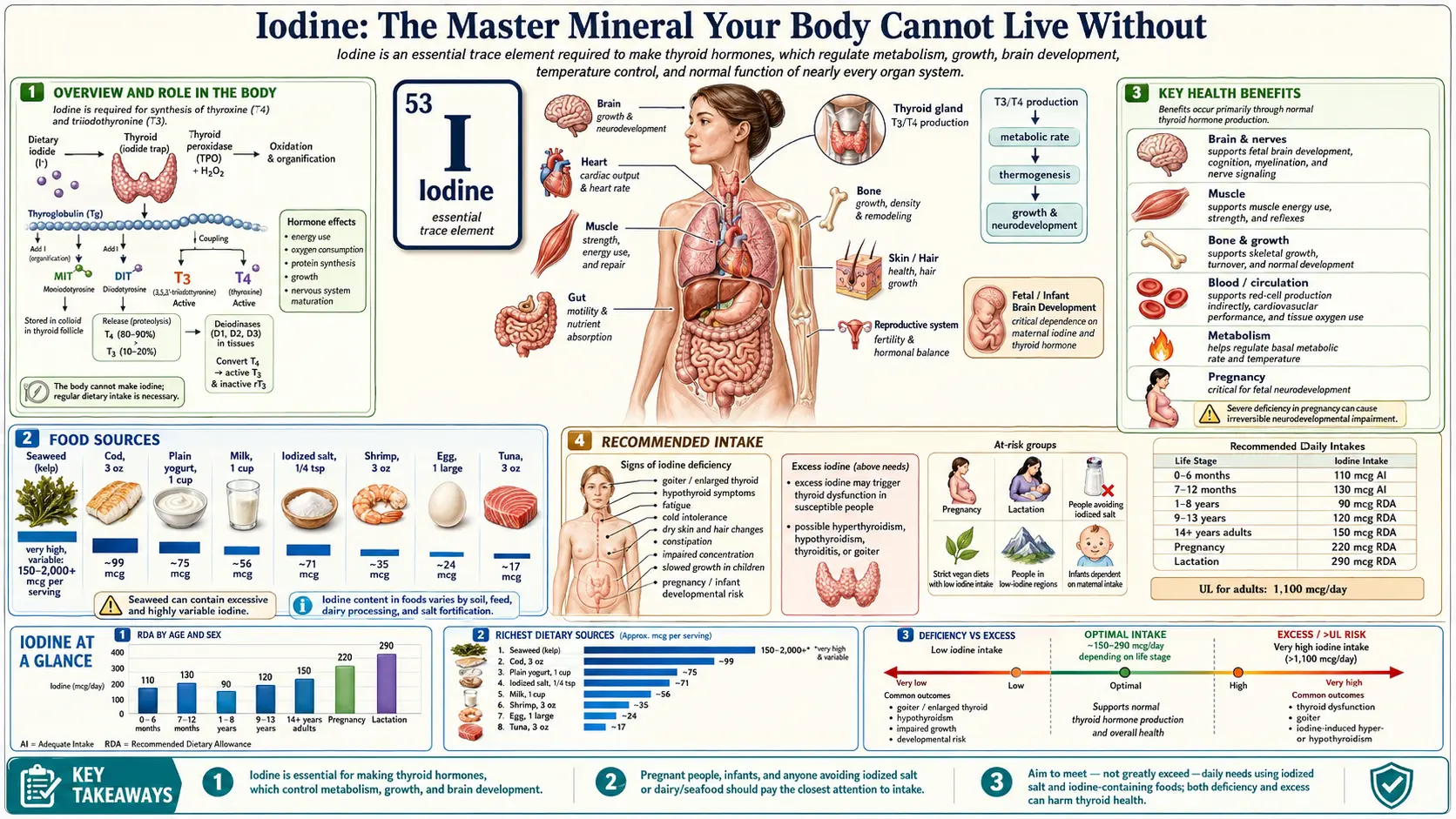 Iodine — scientific infographic poster