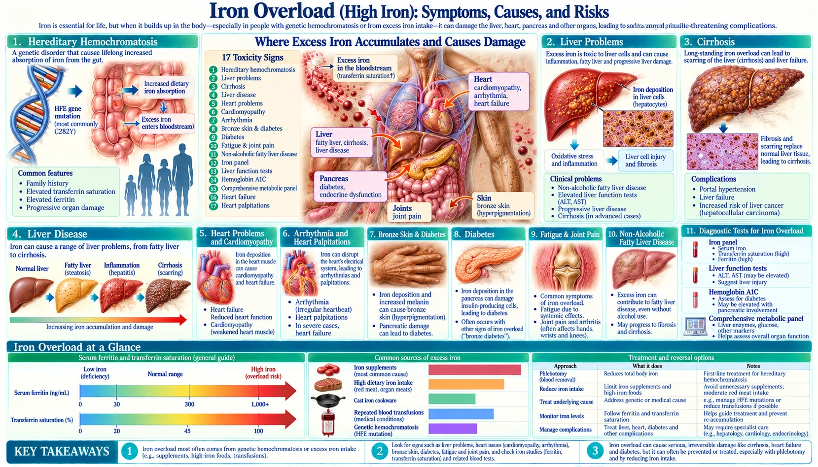 Toxicity — scientific infographic poster