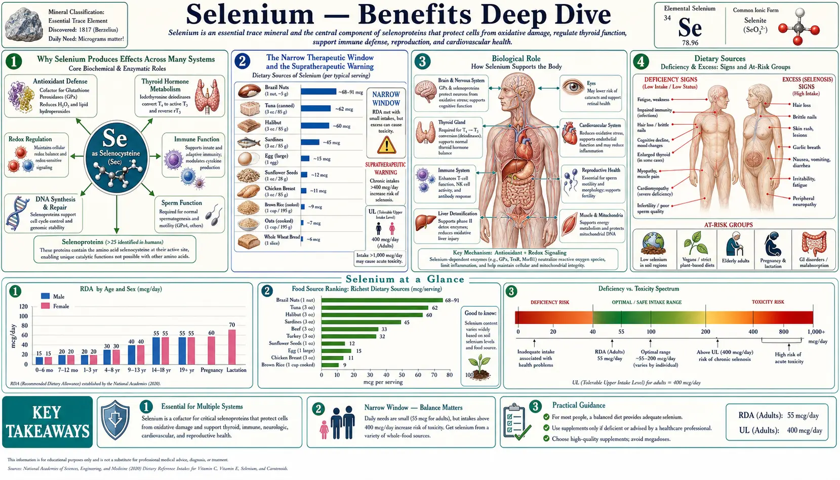 Benefits — scientific infographic poster