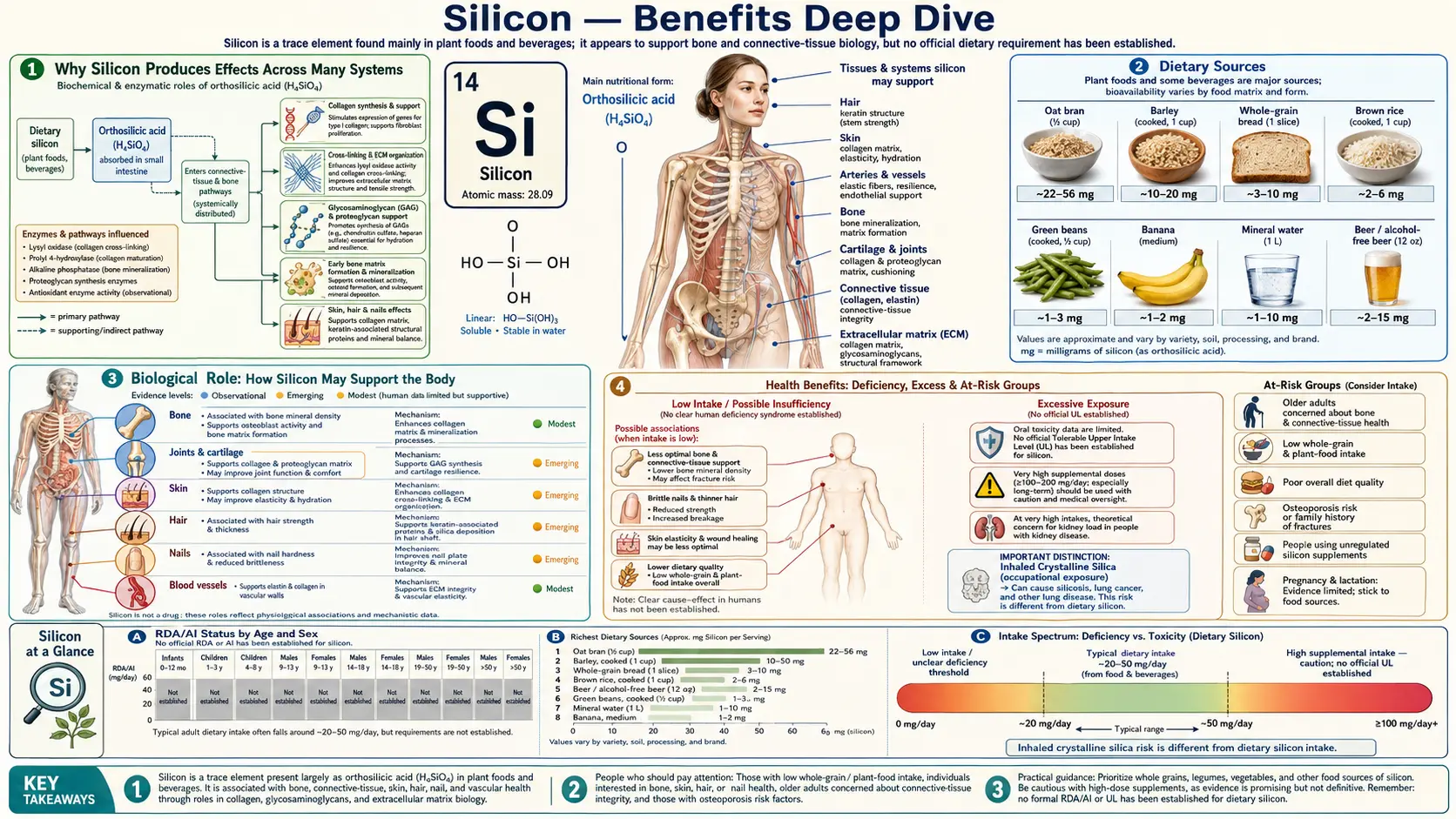 Benefits — scientific infographic poster
