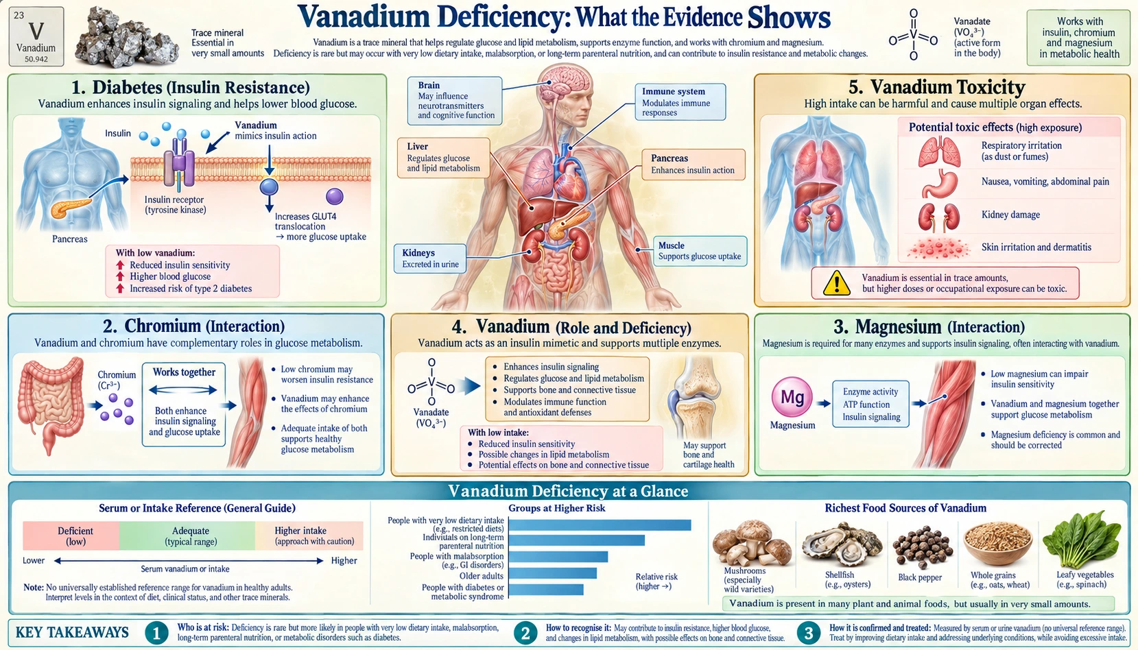 Deficiency — scientific infographic poster
