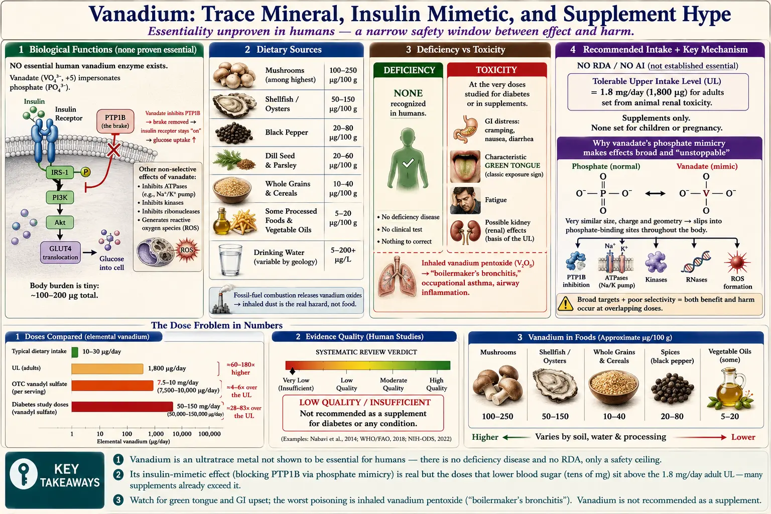 Vanadium — scientific infographic poster
