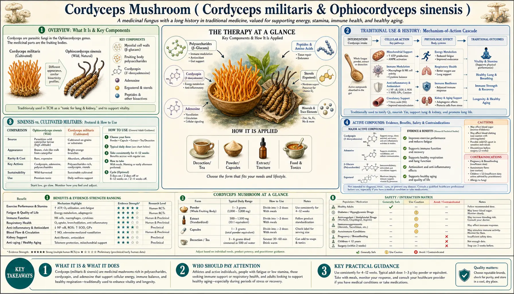 Cordyceps Mushroom — scientific infographic poster