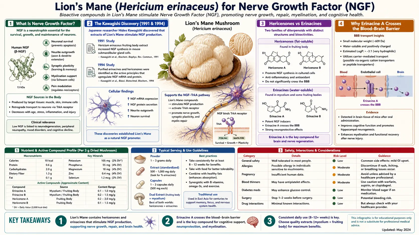 Nerve Growth Factor — scientific infographic poster