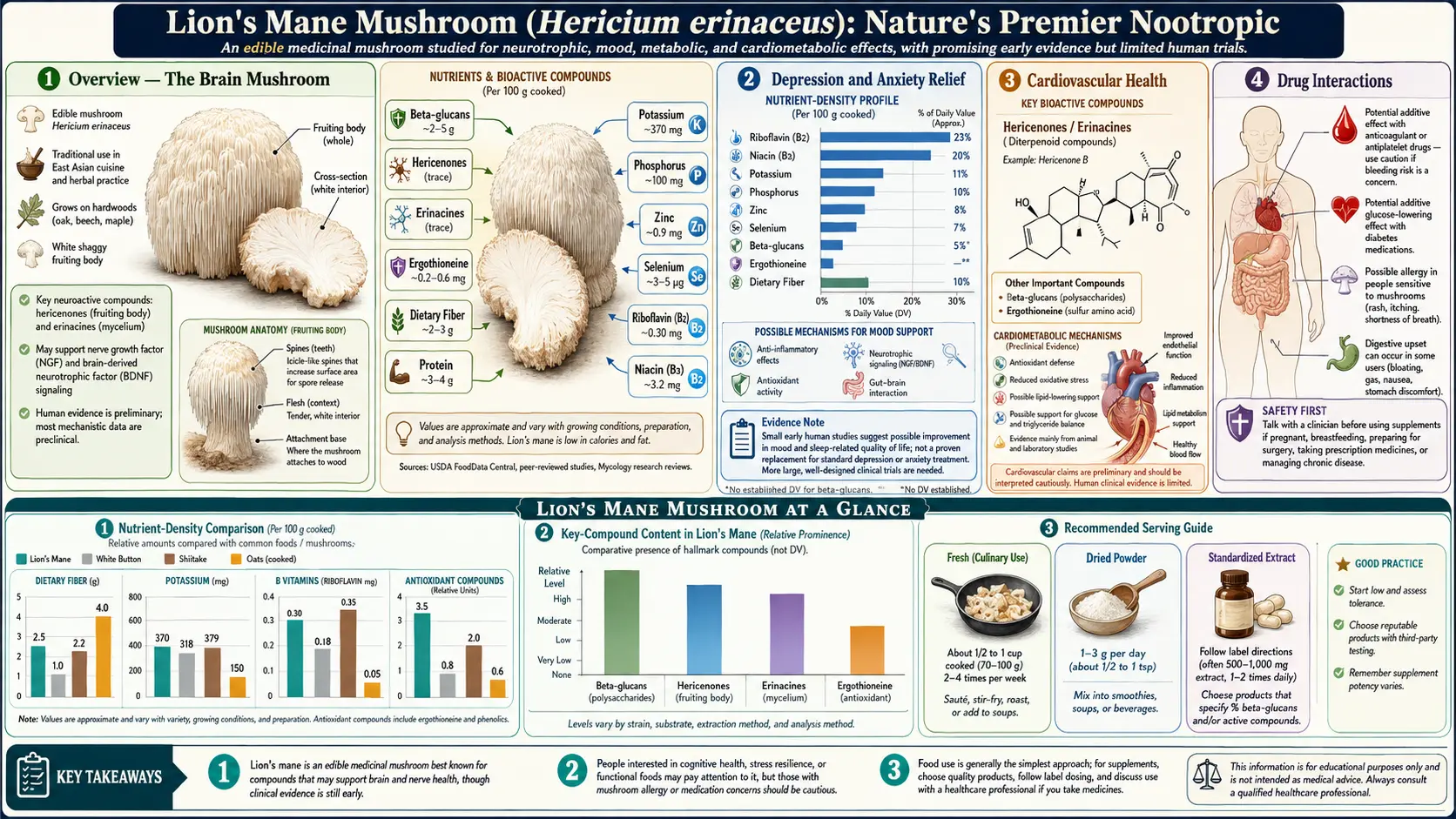 Lions Mane Mushroom — scientific infographic poster