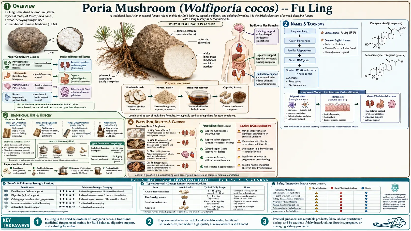 Poria Mushroom — scientific infographic poster