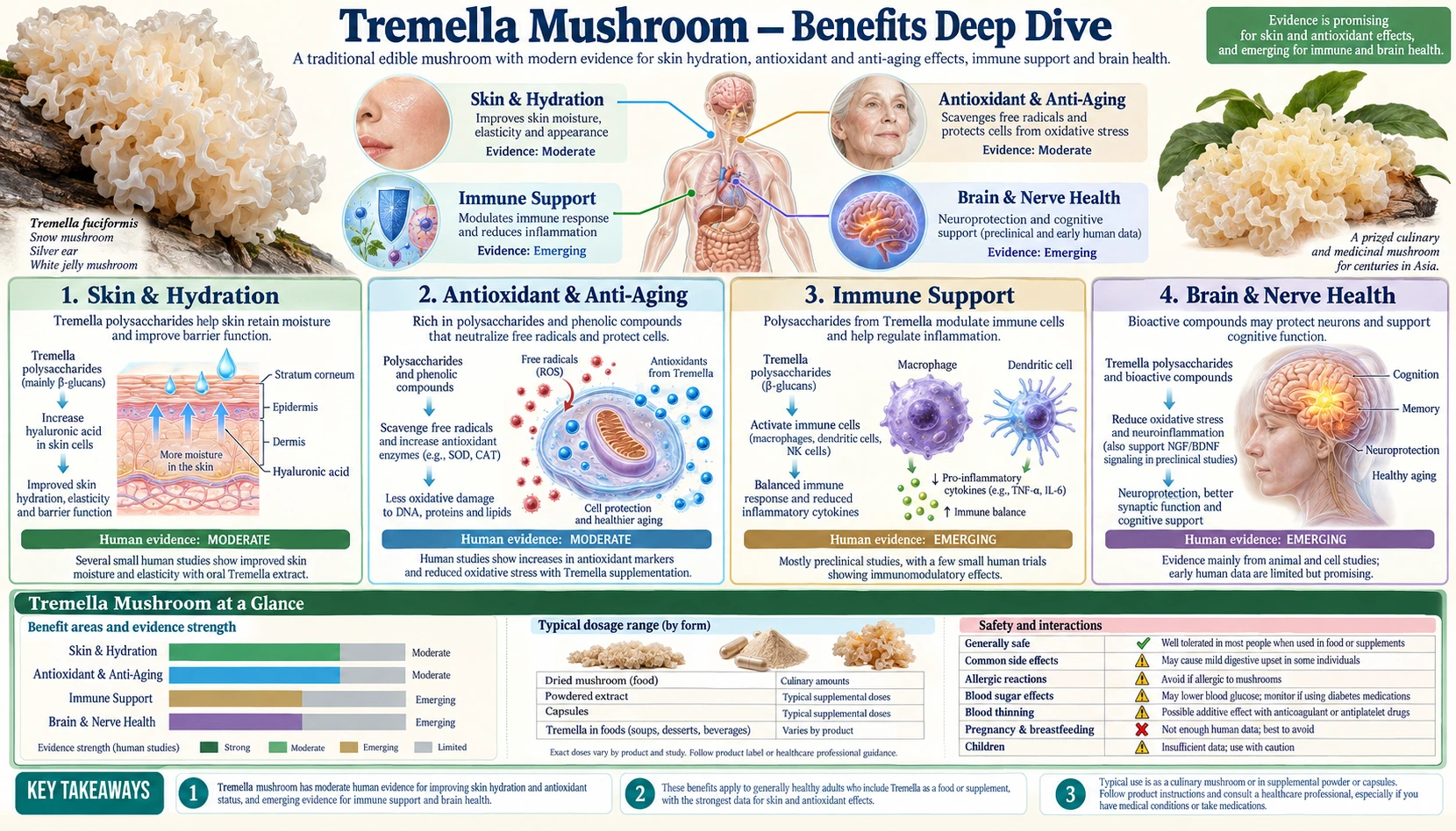Benefits — scientific infographic poster