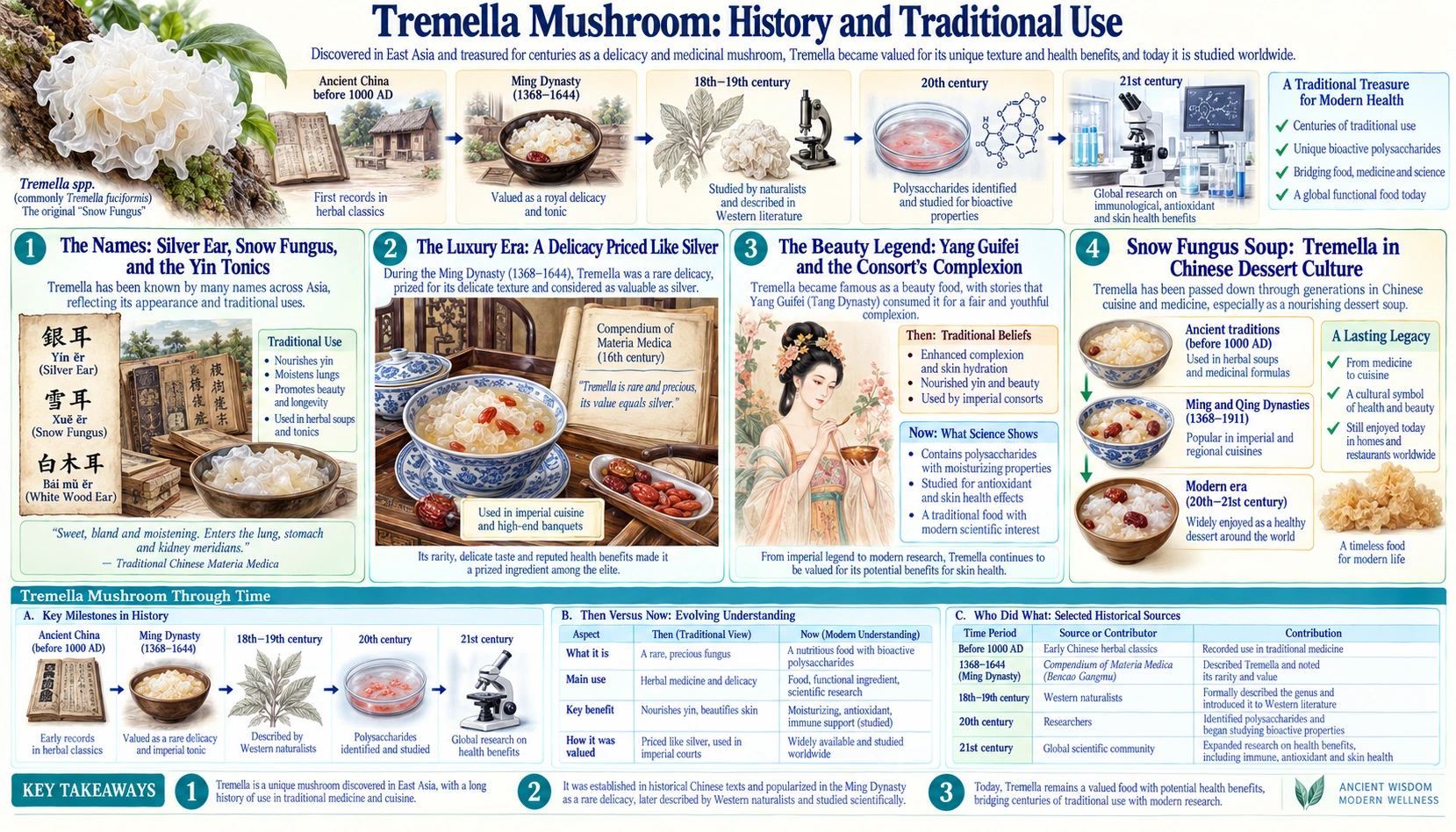 History — scientific infographic poster