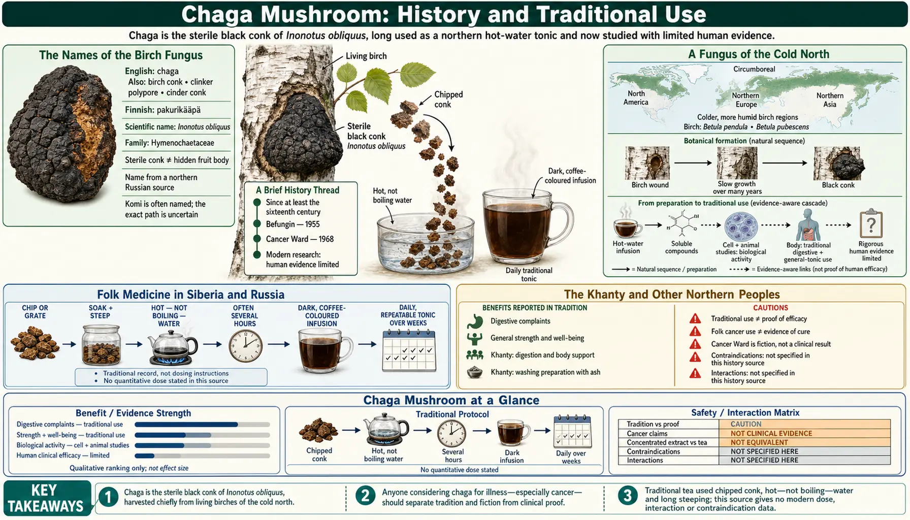 History — scientific infographic poster