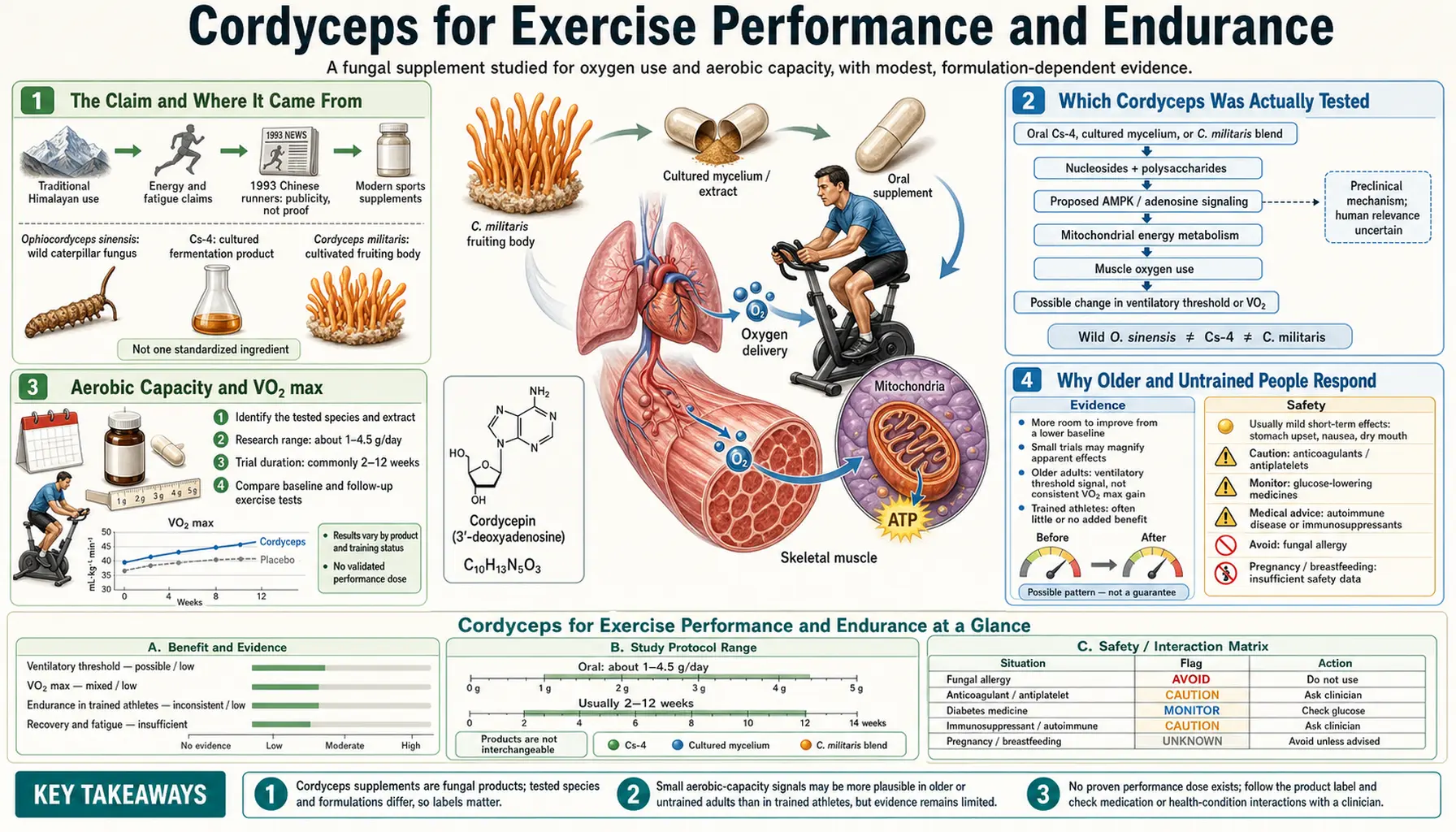 Exercise Performance — scientific infographic poster