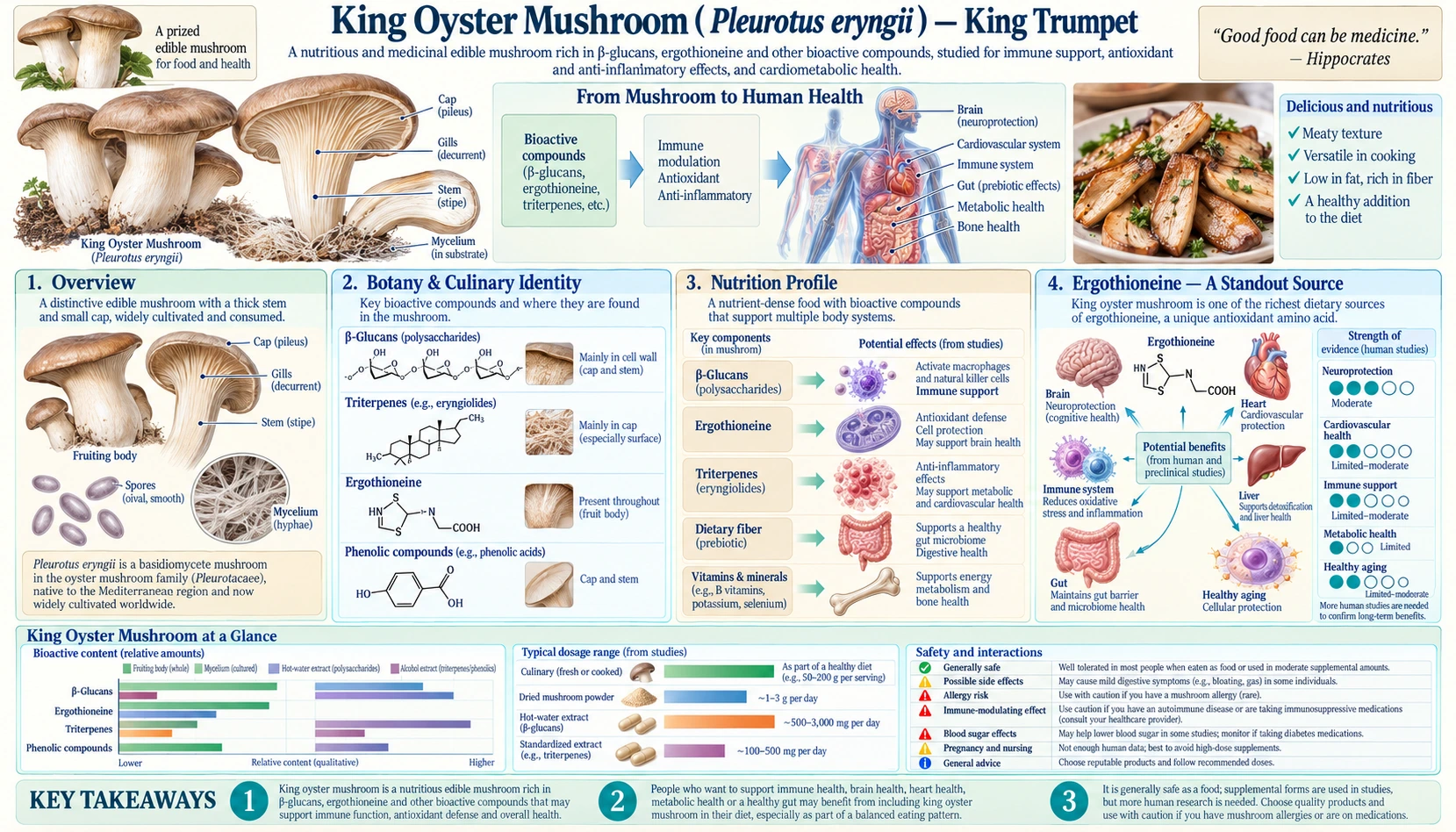 King Oyster Mushroom — scientific infographic poster