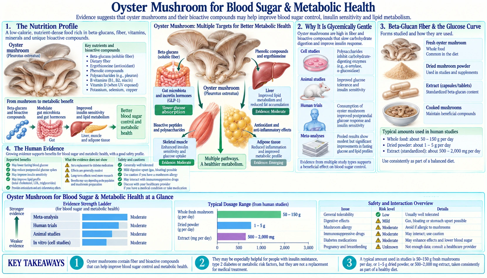 Blood Sugar and Metabolic Health — scientific infographic poster