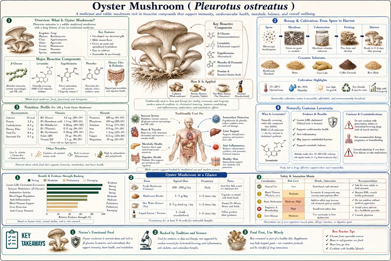Oyster Mushroom — scientific infographic poster