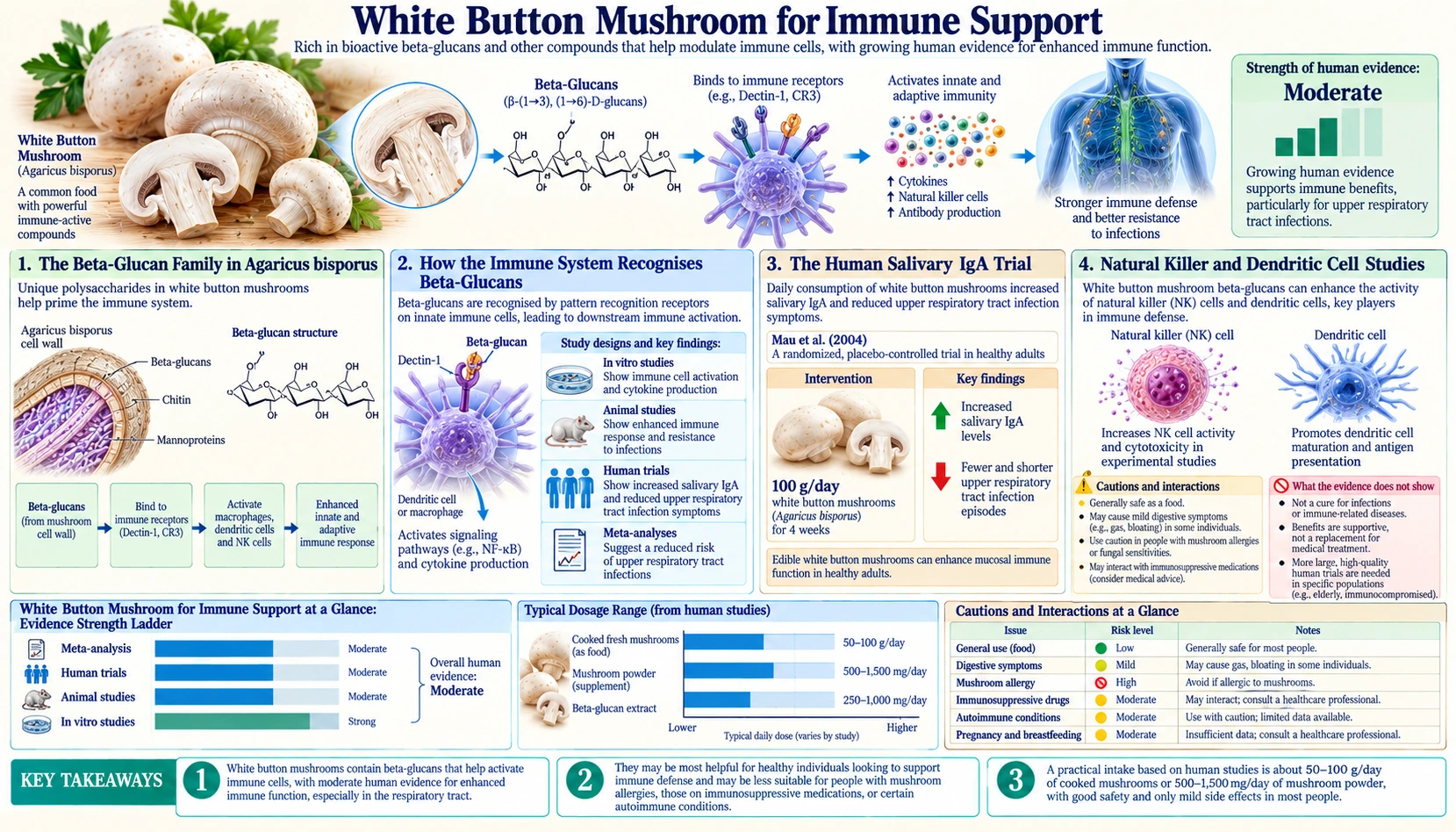 Immune Support — scientific infographic poster