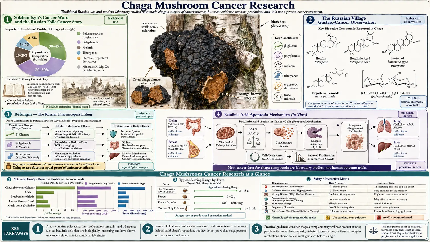 Cancer Research — scientific infographic poster
