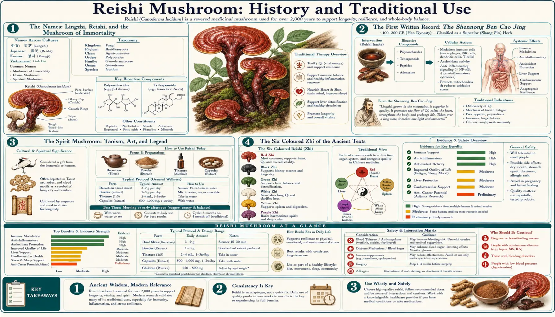 History — scientific infographic poster
