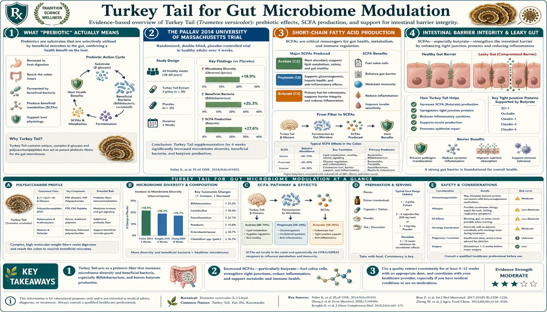 Gut Microbiome Modulation — scientific infographic poster
