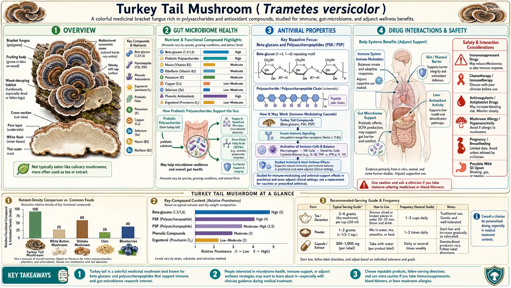 Turkey Tail Mushroom — scientific infographic poster