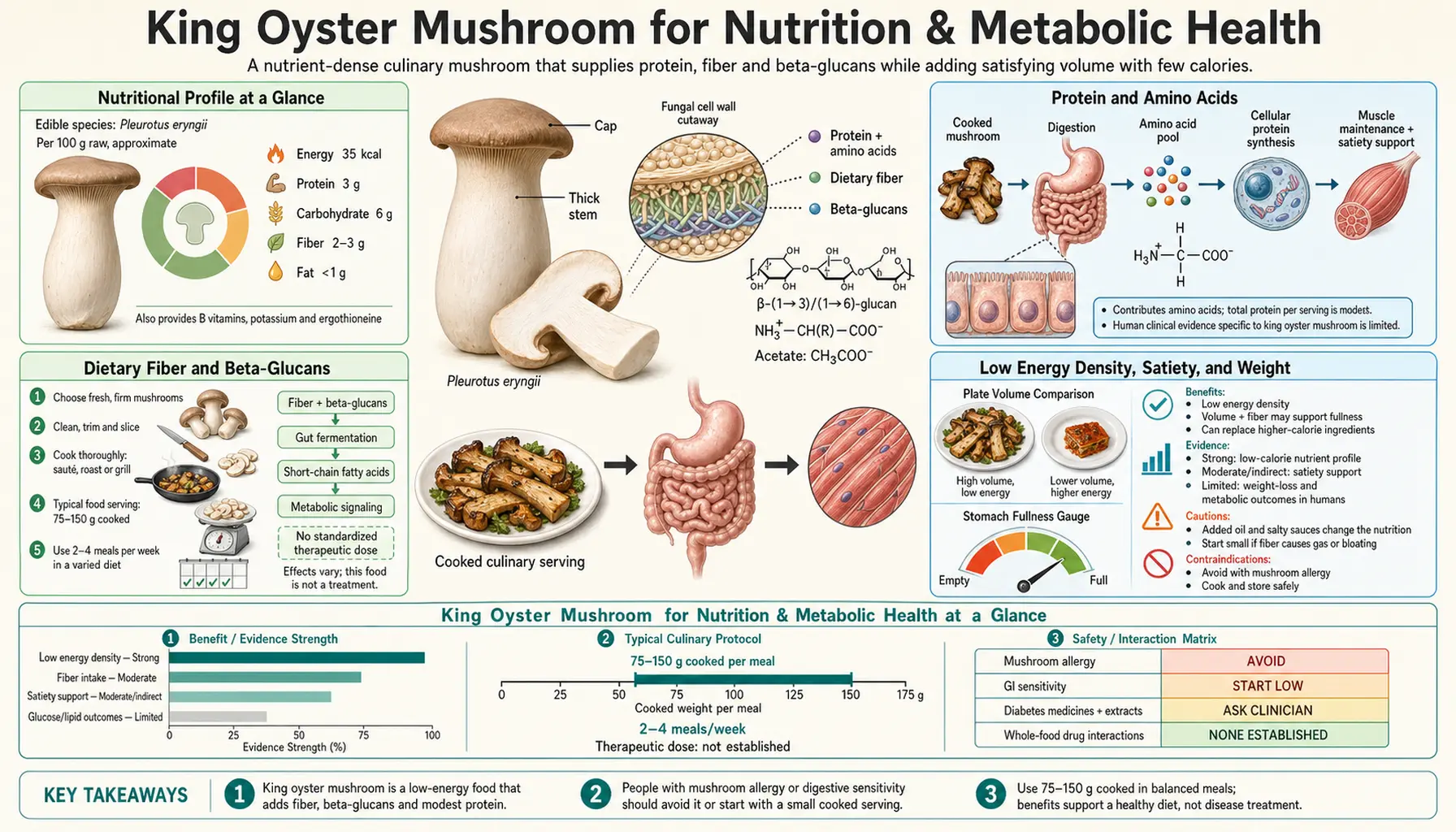 Nutrition and Metabolic Health — scientific infographic poster