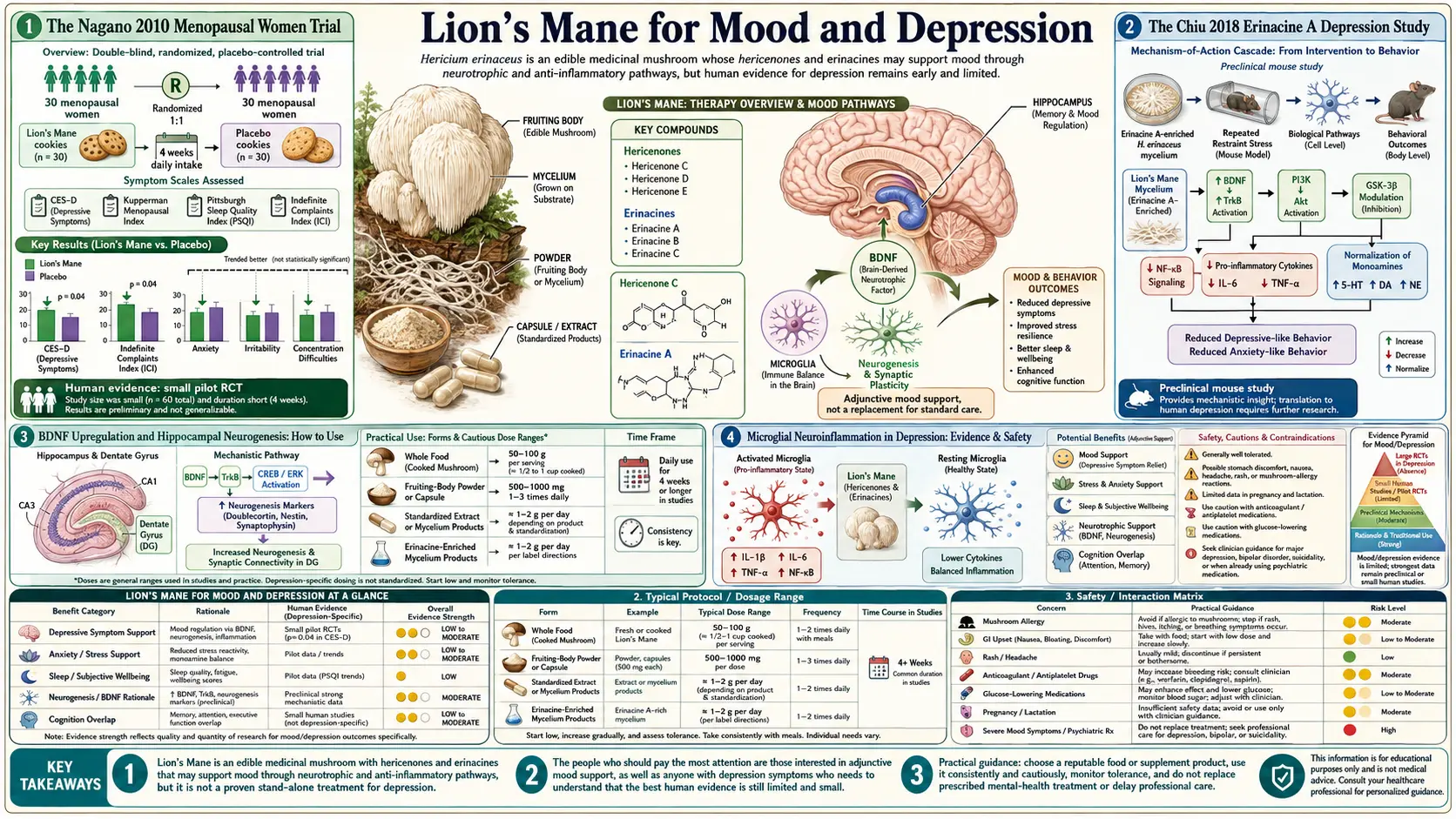 Mood and Depression — scientific infographic poster