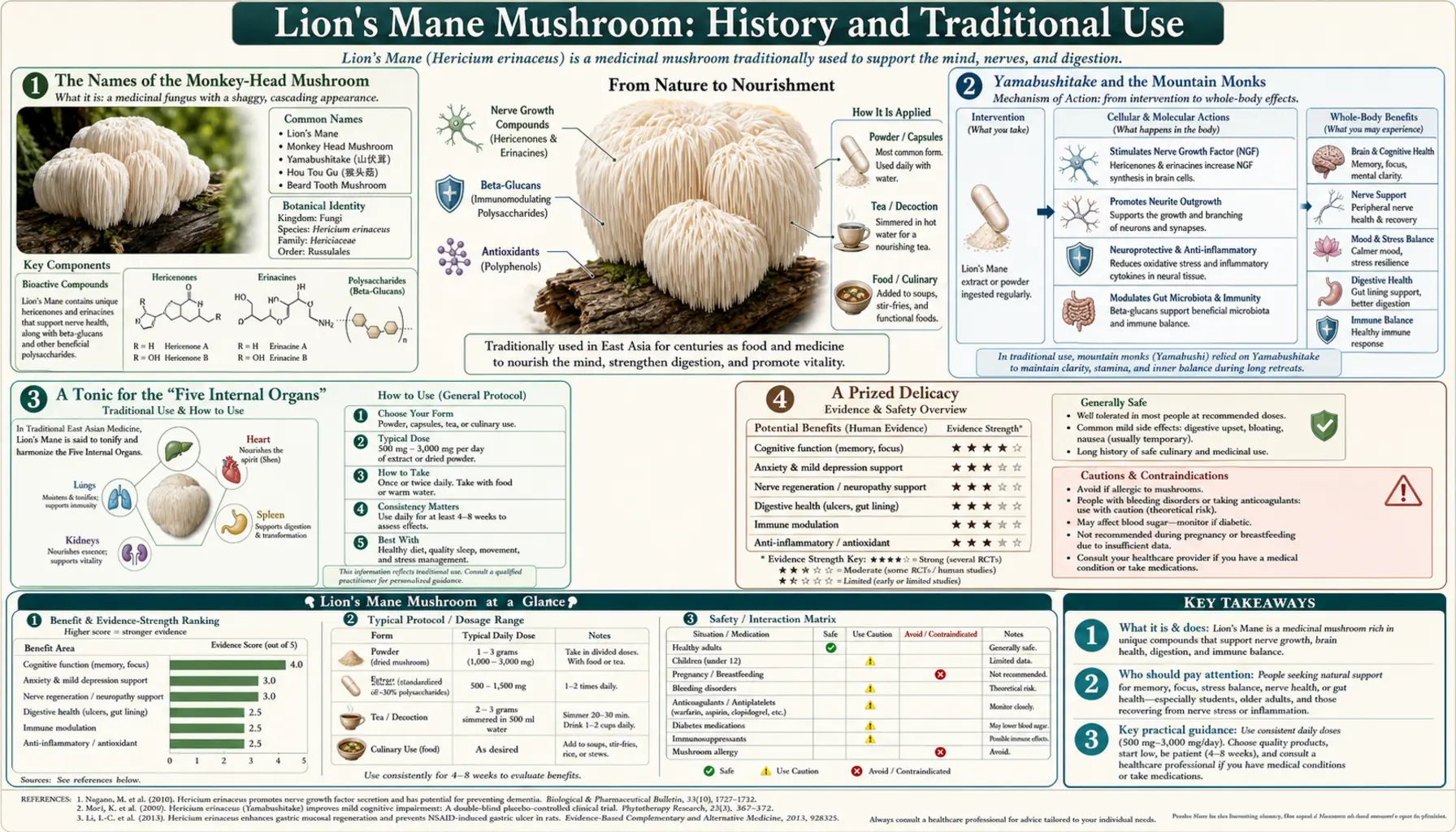 History — scientific infographic poster