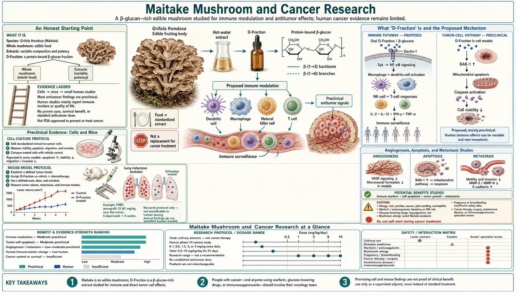 Cancer Research — scientific infographic poster