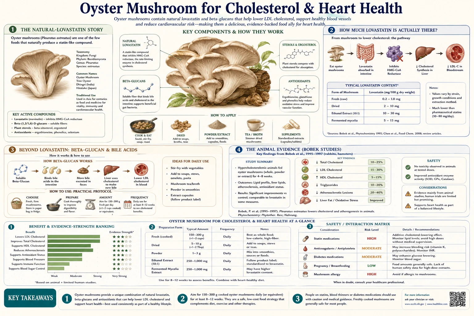 Cholesterol and Heart Health — scientific infographic poster