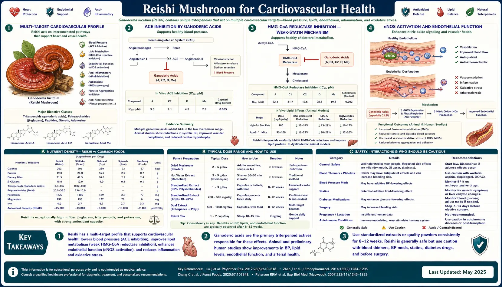 Cardiovascular Health — scientific infographic poster