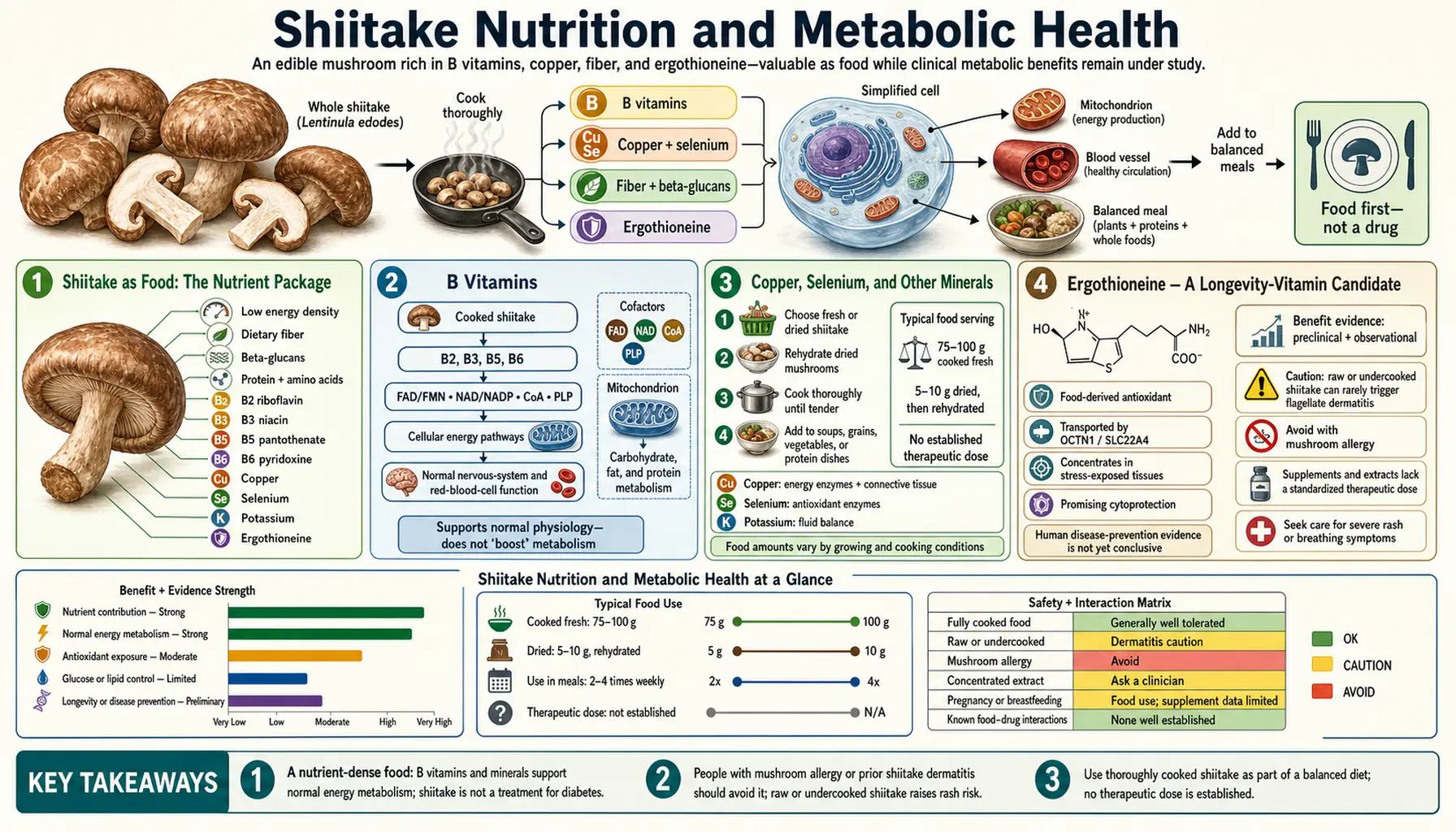 Nutrition and Metabolic Health — scientific infographic poster