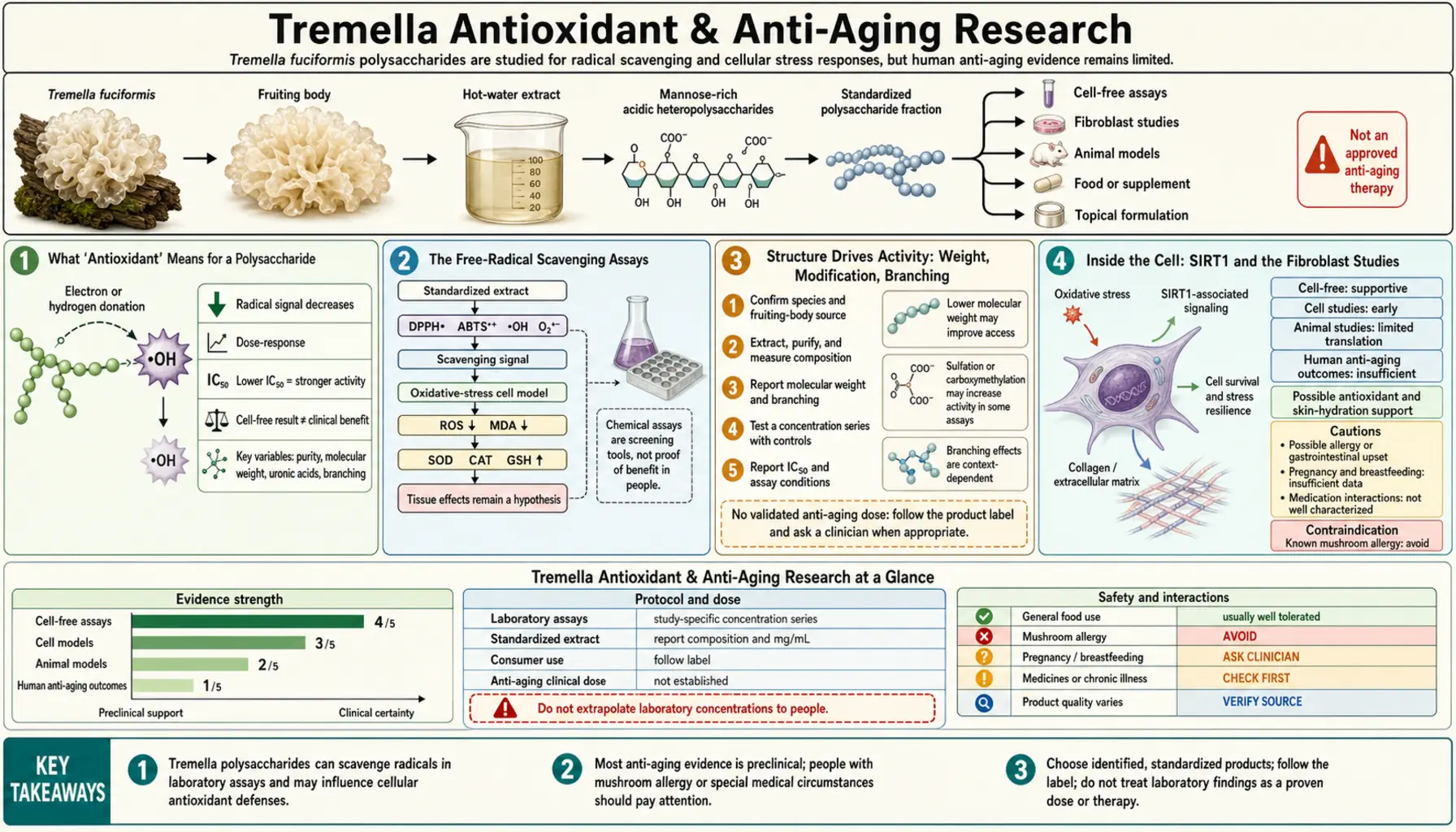 Antioxidant and Anti Aging — scientific infographic poster