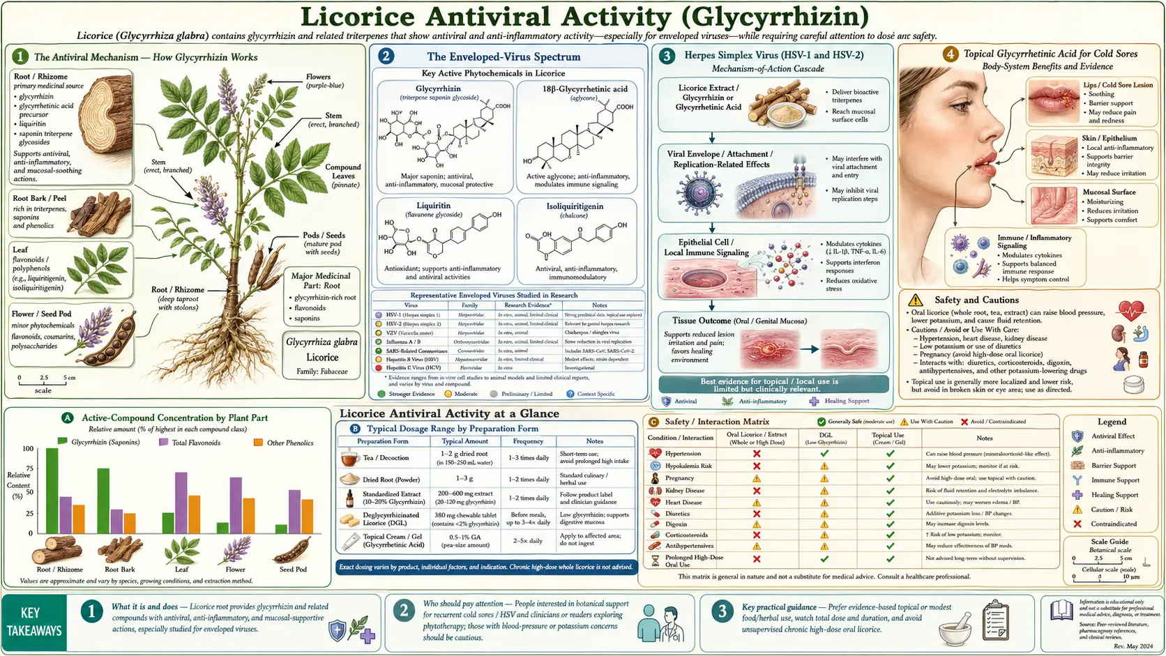 HPV and Cervical Dysplasia — scientific infographic poster