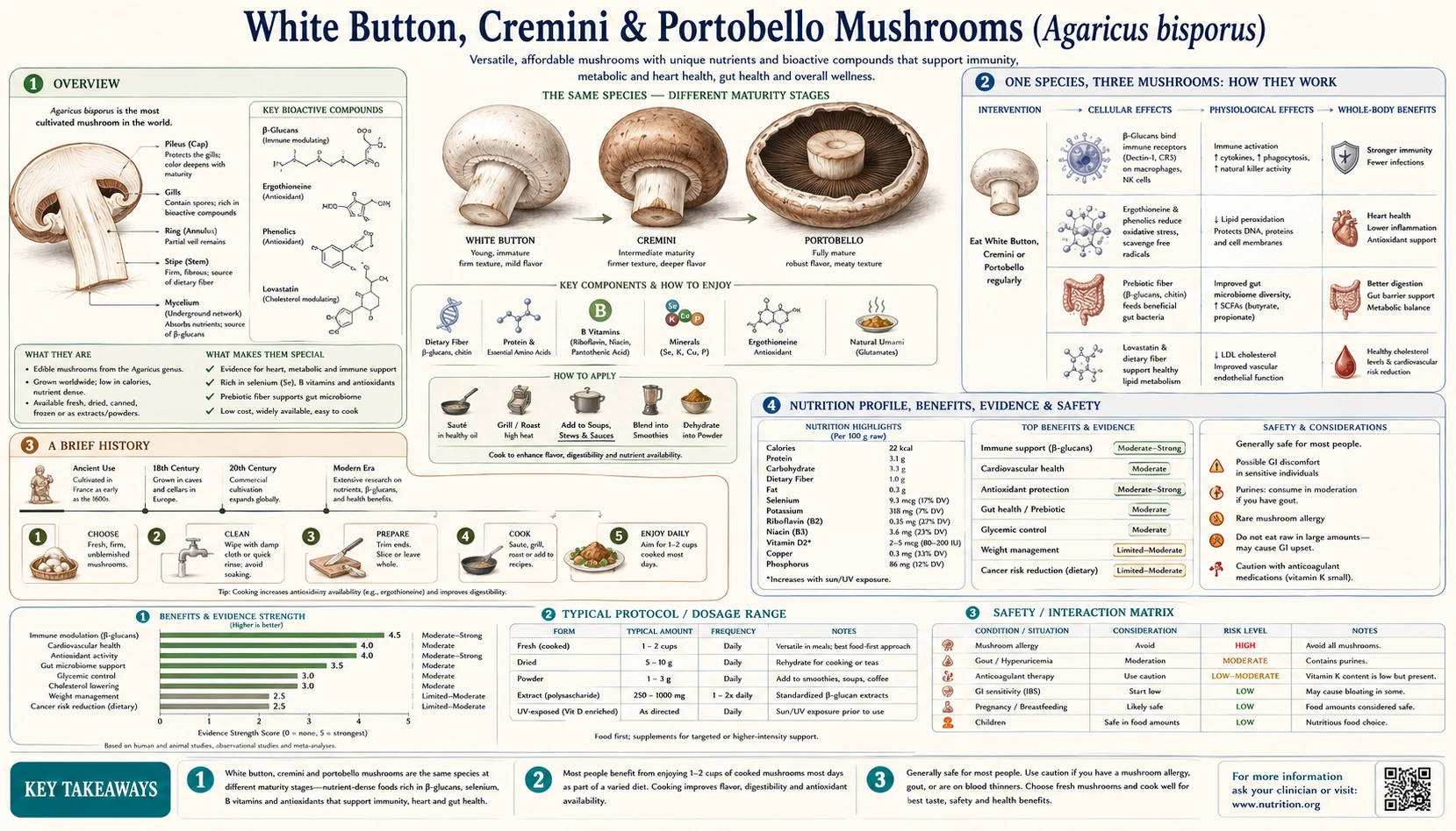 White Button Mushroom — scientific infographic poster