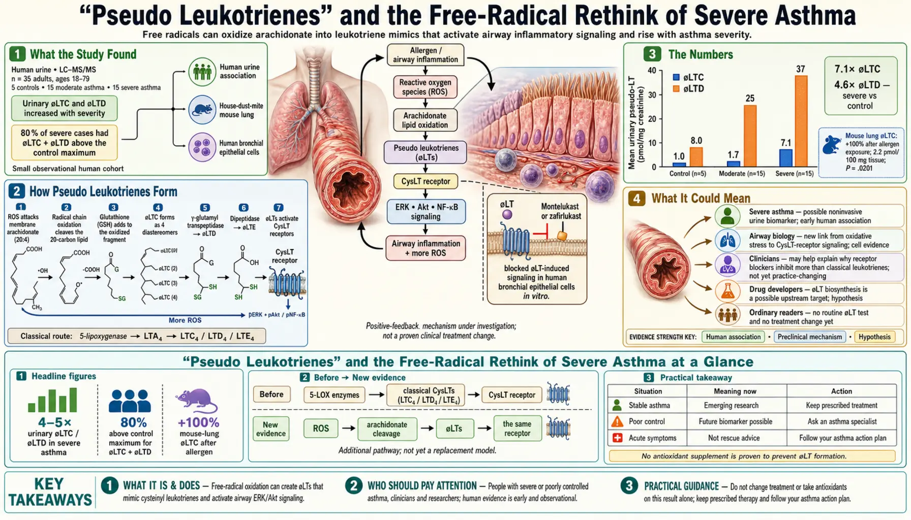 2026 01 27 — scientific infographic poster