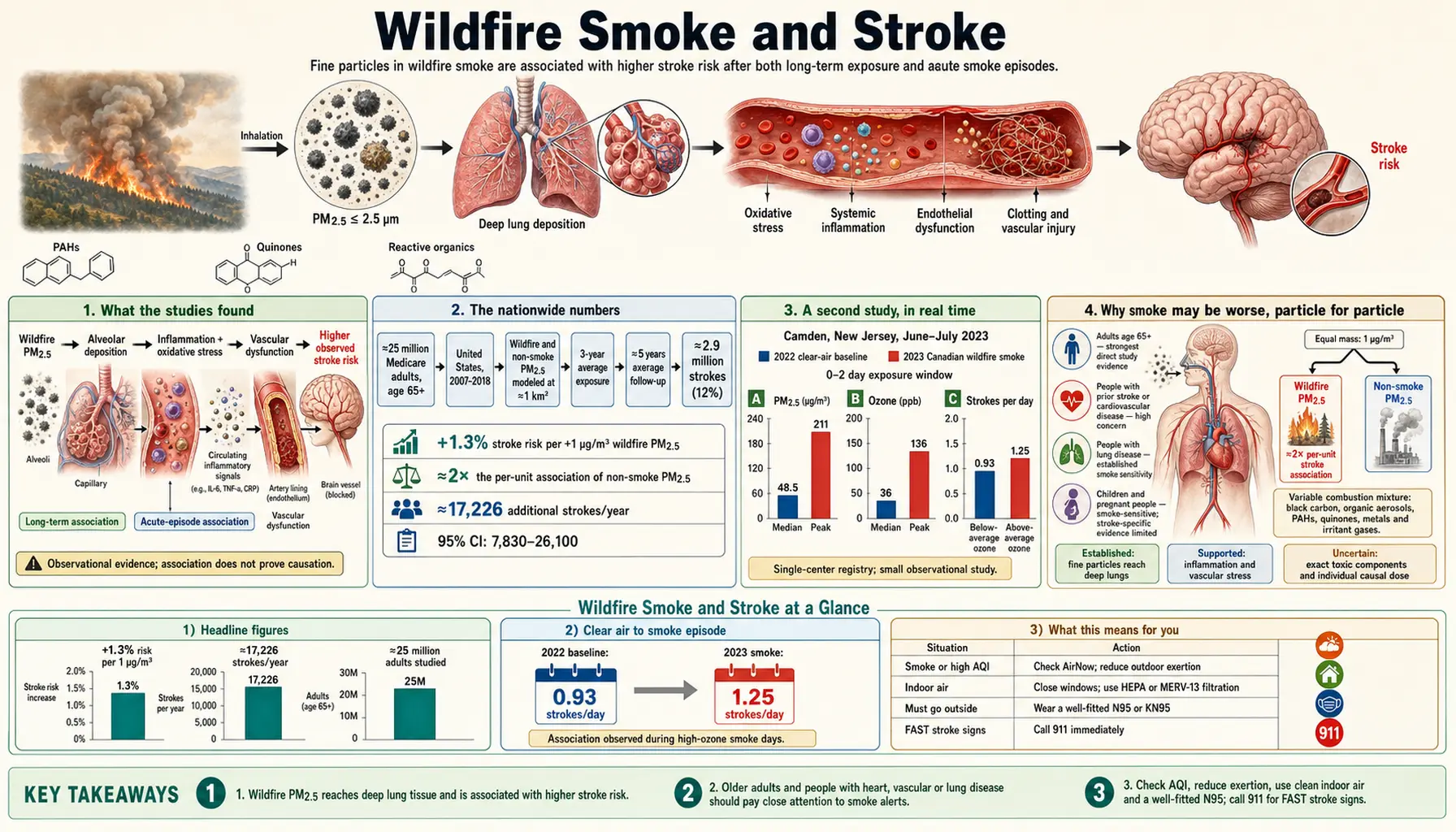 2026 02 04 — scientific infographic poster