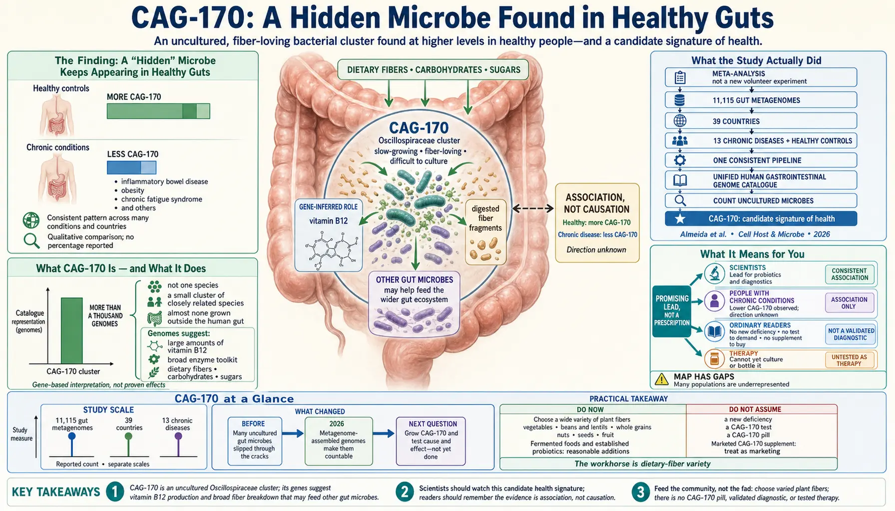2026 02 06 — scientific infographic poster
