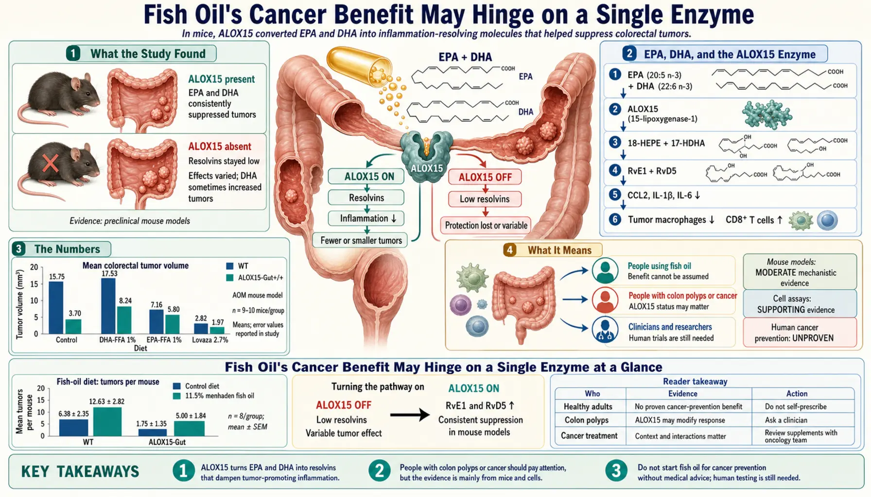 2026 02 12 — scientific infographic poster