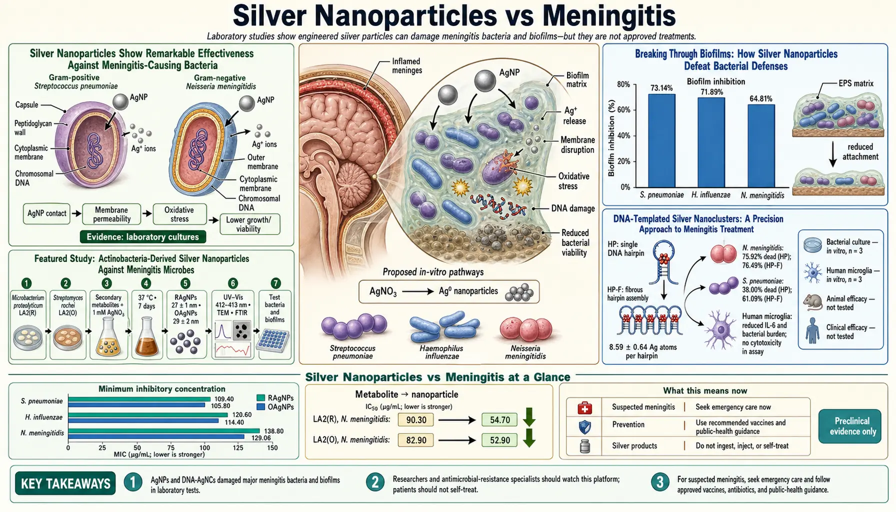 2026 03 05 — scientific infographic poster