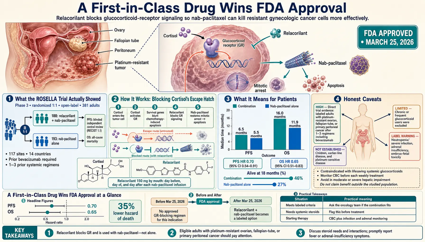 2026 03 25 — scientific infographic poster