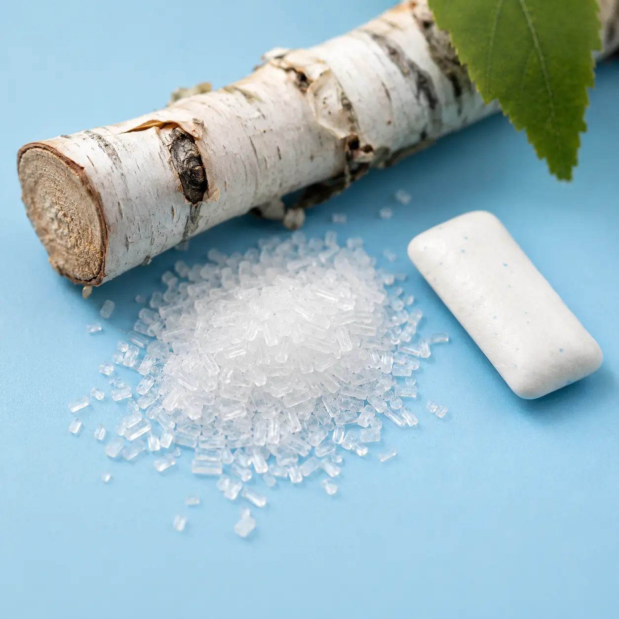 Macro photograph of pure white xylitol crystals next to a stick of sugar-free chewing gum and a birch tree branch, the natural source from which xylitol was originally extracted
