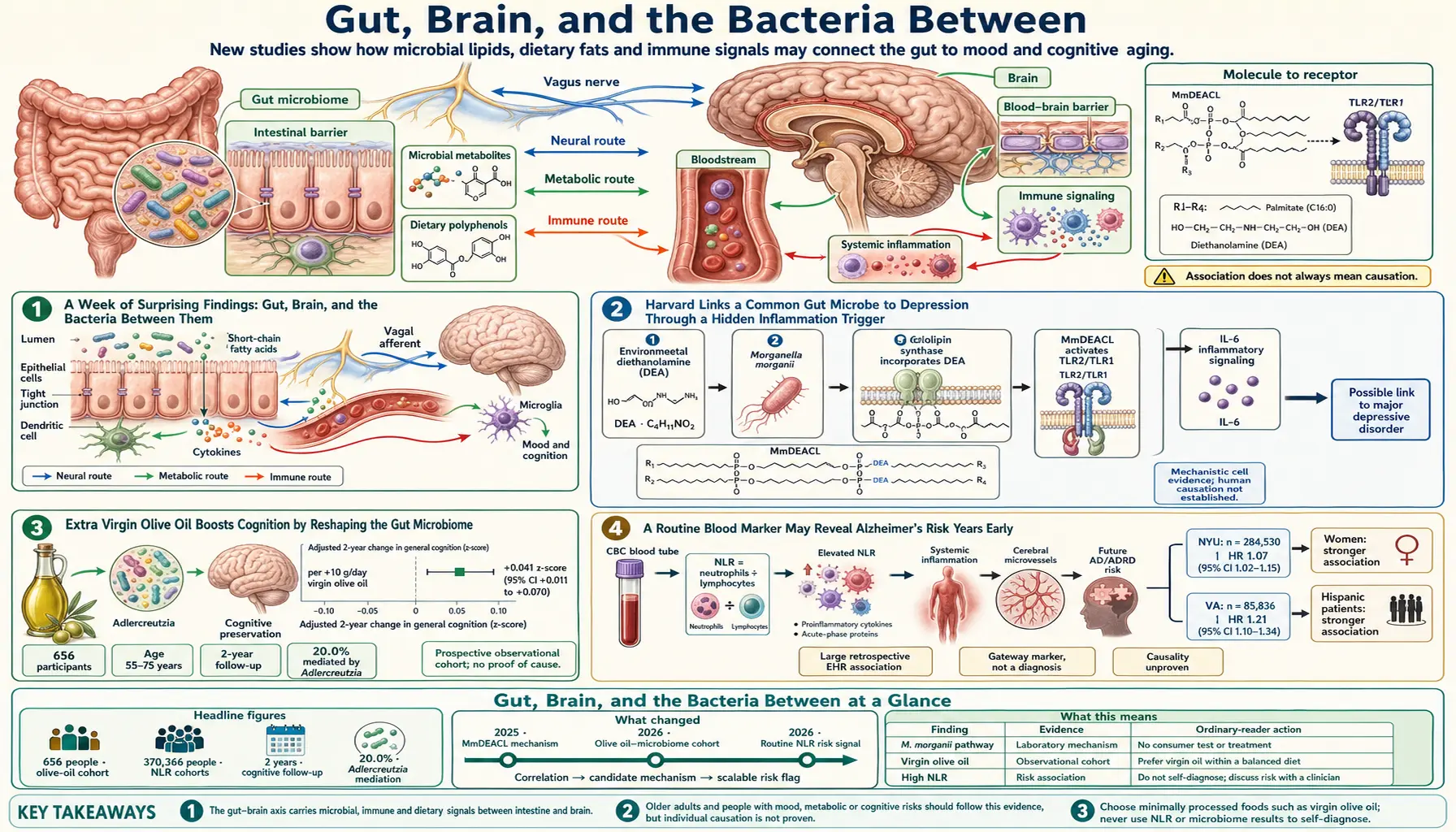 2026 04 27 — scientific infographic poster