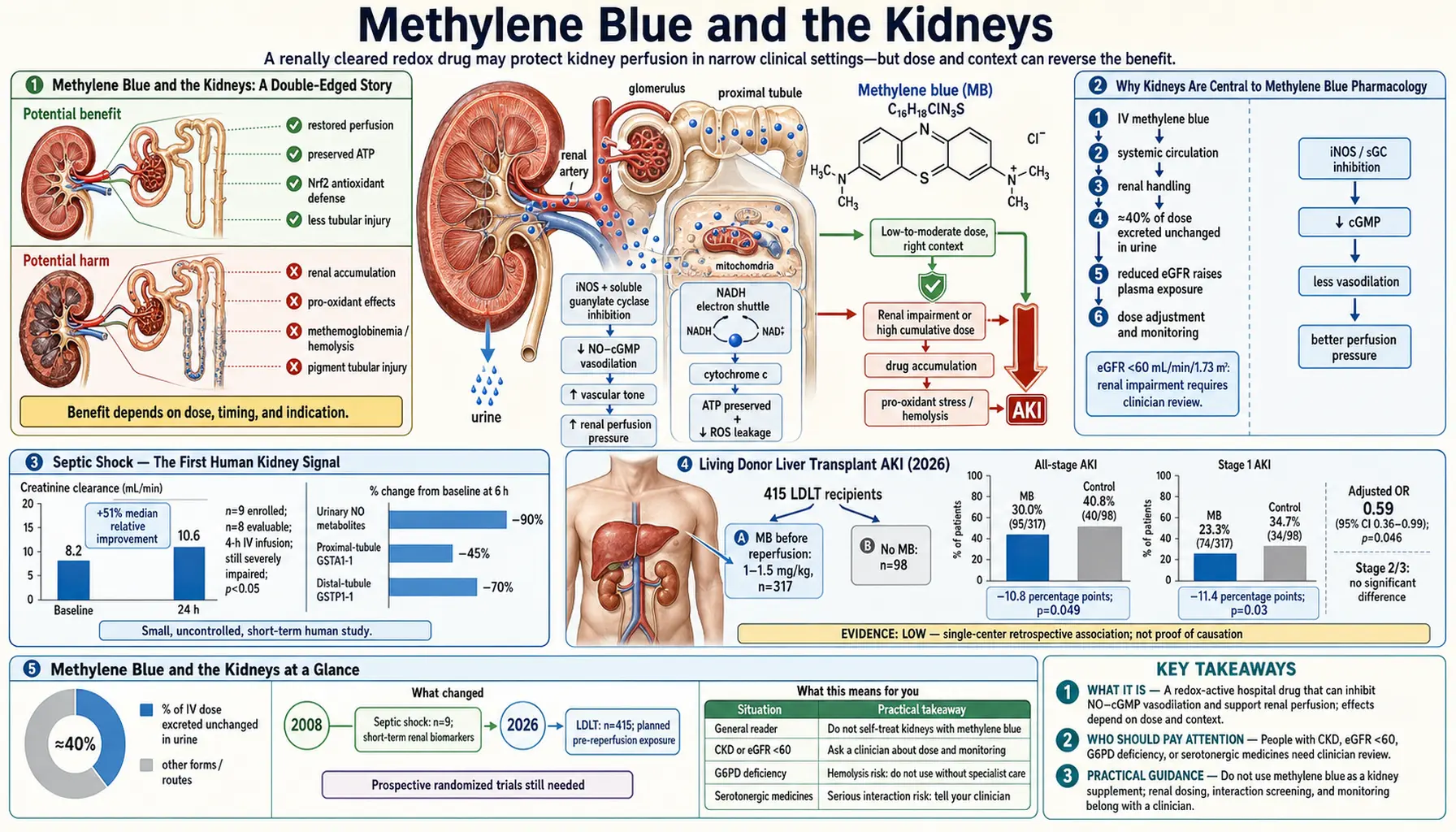 2026 05 11 — scientific infographic poster