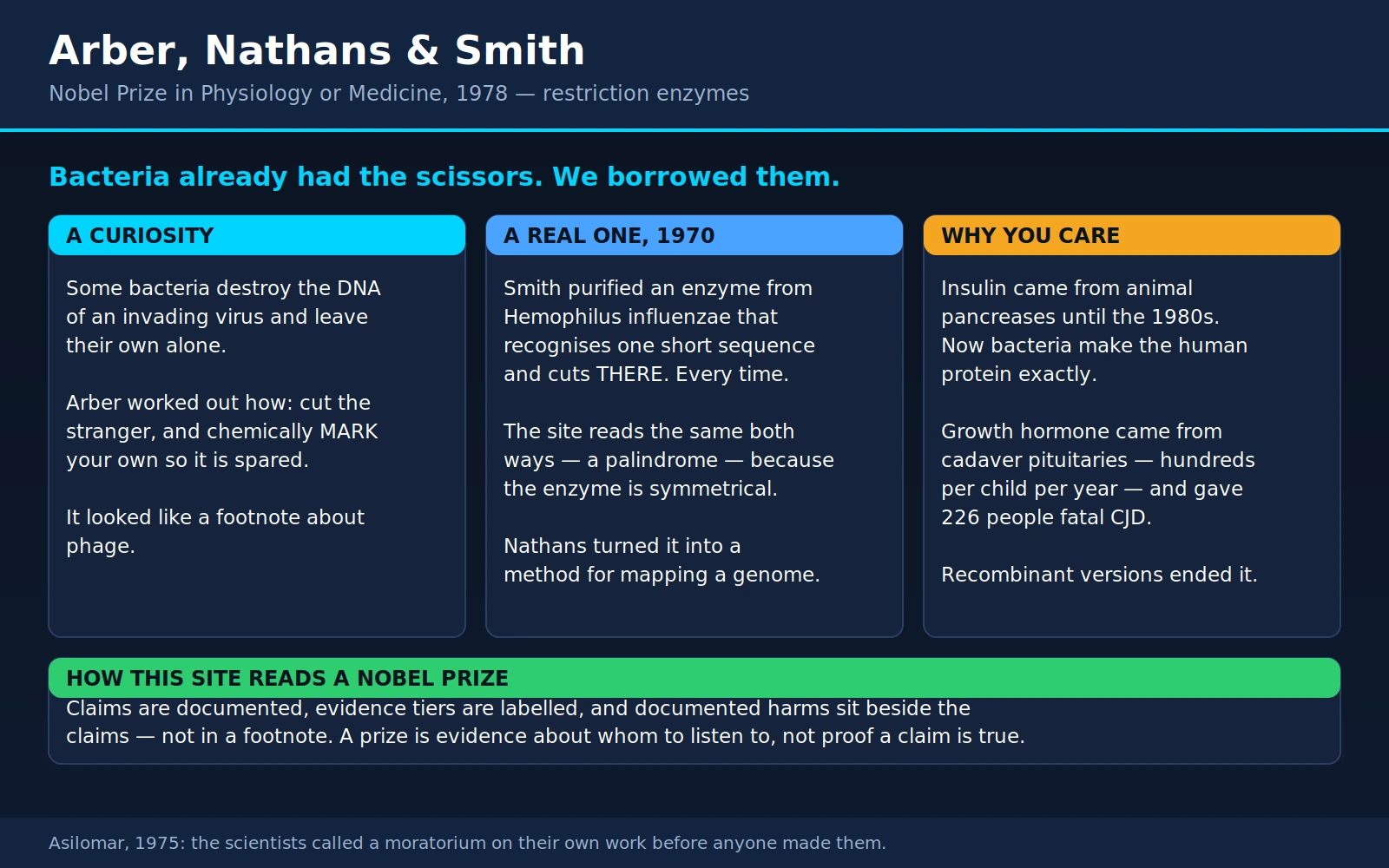 Arber Nathans Smith — scientific infographic poster