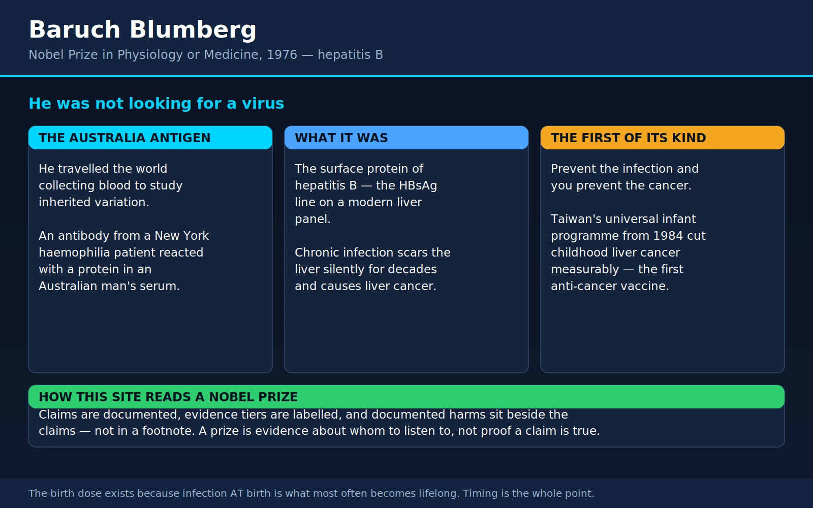 Baruch Blumberg — scientific infographic poster