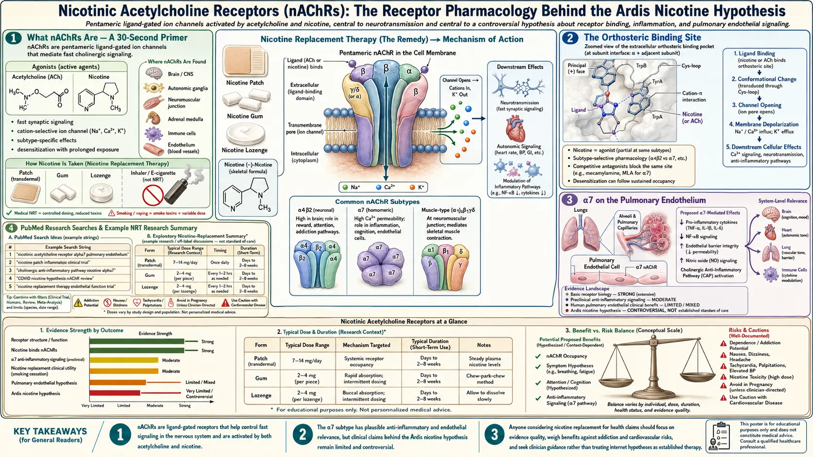 Nicotinic Acetylcholine Receptors — scientific infographic poster