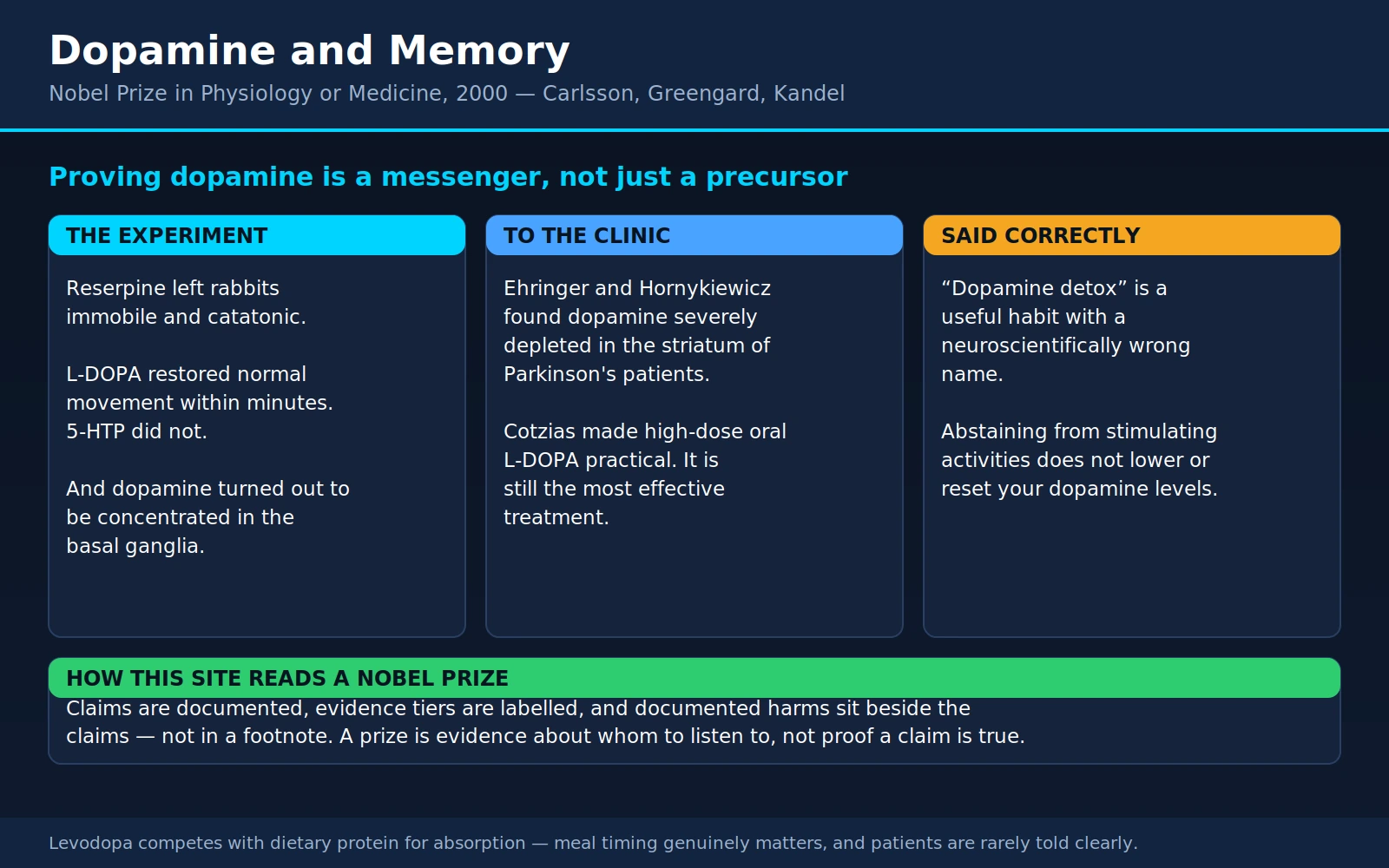 Carlsson Greengard Kandel — scientific infographic poster