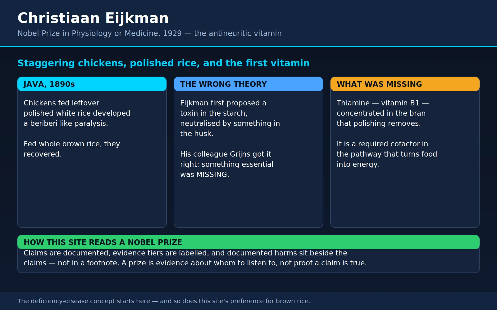 Christiaan Eijkman — scientific infographic poster