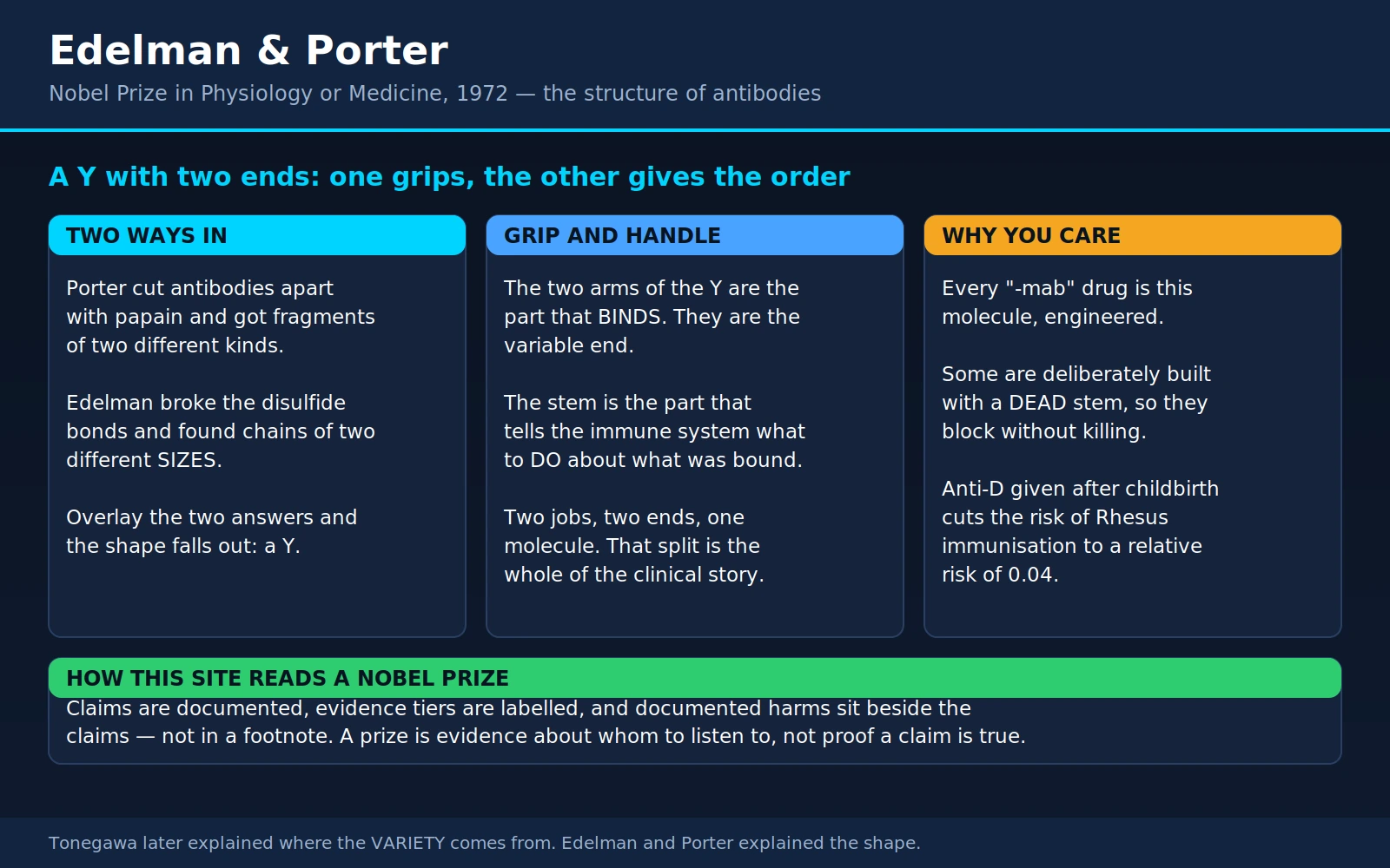 Edelman Porter — scientific infographic poster